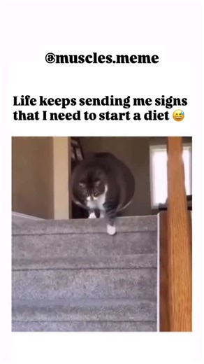 Musclememes | 🤦🏻‍♂️🤣😅🙏 😂 Let’s see how many gifts this video deserves today! 👀 Do you think this content is worth a little gift? 💎 Whoever sends a gift... | Instagram