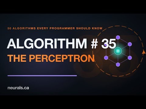 The Perceptron: The Single Neuron Deep Learning Grew From (50 Algorithms #35)