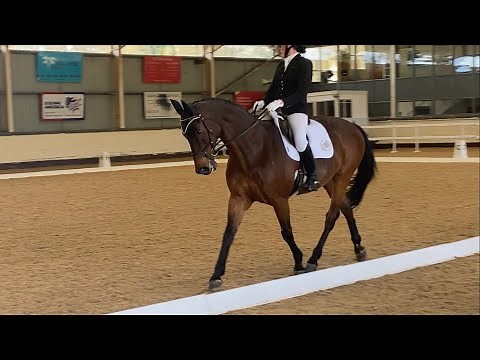 ELEMENTARY 45 | British Dressage