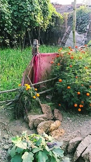 💯💯💯💯👍👍