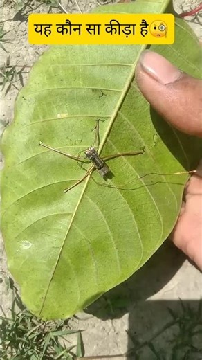 Dc Mini Motor Robotic Modle🧐#dcmotor #motorproject #motor