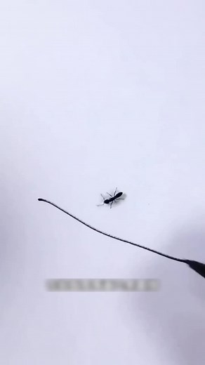 Amazing Science Experiments You Won't Believe!