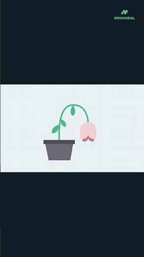 Die 5 Sterbephasen nach Kübler-Ross einfach erklärt: Überblick | Novaheal