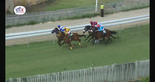 17K views · 312 reactions | Race 4 Results : 1st : Captain Mike 2nd : Quatro Five Six 3rd : Ampersand | Mauritius Turf Passionates | Facebook