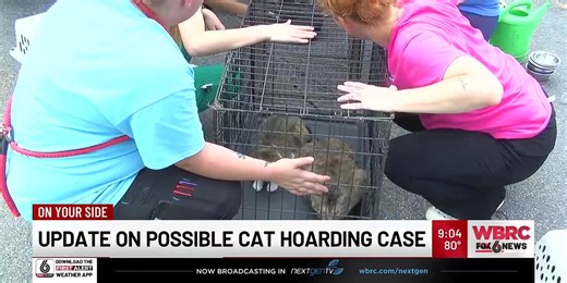 Update on possible cat hoarding case