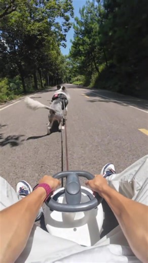 Tiny speed demon on wheels! ⚡ Smooth gliding, easy turns, and anti-roll technology—let your kid zoom safely while burning energy. #LittleSpeedster #SafeToys #ActivePlay