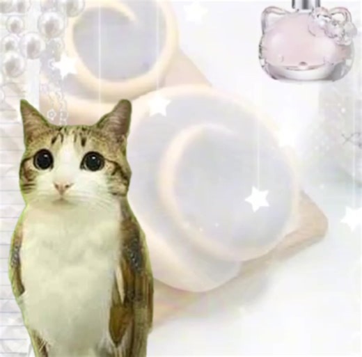 Meowl: Mastering Papercraft Techniques