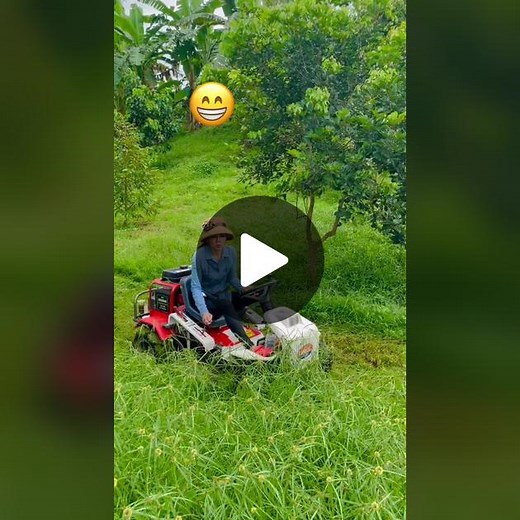 Efficient Lawn Care with Ryobi Lawn Mower