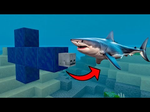 How to Spawn Shark in Minecraft