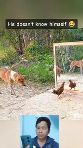 6.2K views · 22 reactions | #reelsbirsl #comedy #funny | Sie Seng | Facebook