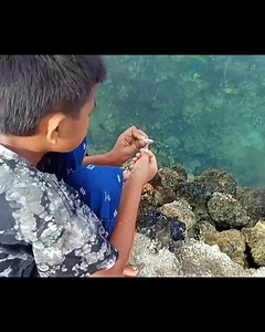 3.9M views · 10K reactions | Mancing Di Pinggir Laut #mancingikan #mancing #mancingdilaut @penggemar berat | Mancing Masohi | Facebook