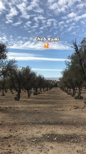 ᎷᎾᏬᎻ ᎯᎷᎠ on Instagram: "Cheb rami🫶🏻🥰"