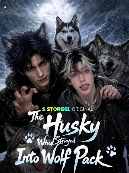AI BL The Husky Who Strayed Into Wolf Pack： All 30 Episodes Free