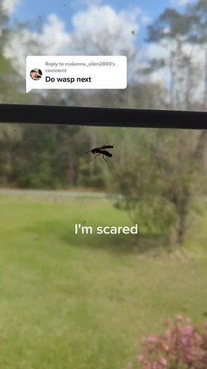 43K views · 598 reactions | I was kind of scared | Legboot | Facebook