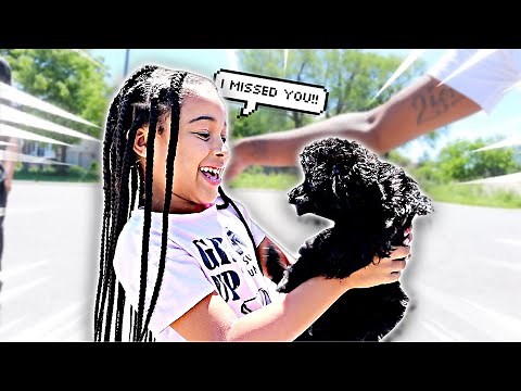 VISITING CALI'S PUPPY **emotional**