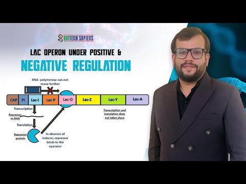 LAC OPERON -POSITIVE AND NEGATIVE REGULATION
