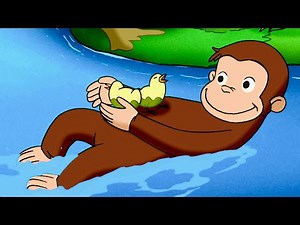 ジョージ、ひよこたちを助ける！ 🐵 おさるのジョージ