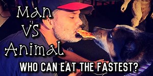 3.4K views · 50 reactions | It's a battle between Man VS Animal when #KVJ has Jbird challenge his dog Chewy in a race to see who can eat the fastest. Both of them have their favorite food ready, watch to find out who wins! #KVJShow #ManVSAnimal #KVJTV | The KVJ Show | Facebook