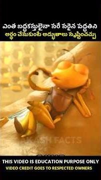 🤯 ఎంత బద్ధకస్తుడు అయినా సరే voiceover cartoon moral story in telugu #shorts #cartoonstory