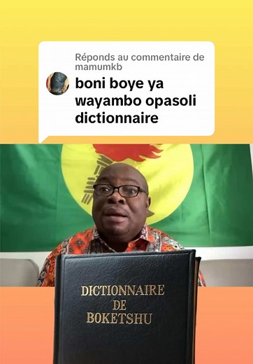 Exploring Lingala and French Language in DRC