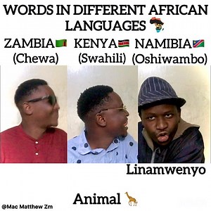 437K views · 10K reactions | WORDS IN DIFFERENT AFRICAN LANGAUGES New Episode Chewa vs Swahili vs Oshiwambo Enjoy ❤️ | Mac Matthew Zm | Facebook