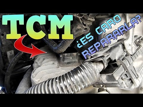 HOW IS THE POWER SHIFT TRANSMISSION CALIBRATED IN A FORD FIESTA AND FOCUS? | Omar VW