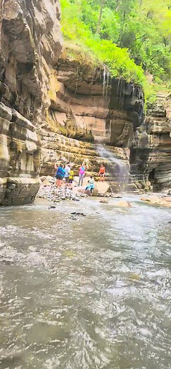 444K views · 8K reactions | #ANGOSTO DE CATRE #Puente Colgante de...