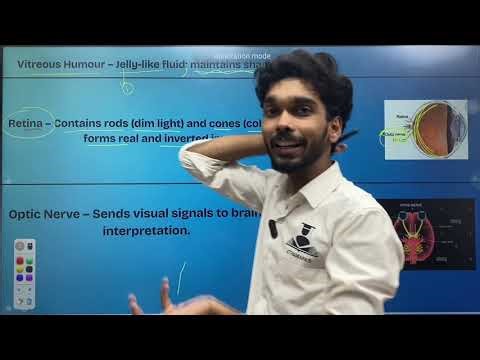 Human Eye & Colourful World Class 10👁️ Rapid Revision in 30 Mins | CBSE NCERT Science | Rohit Sharma