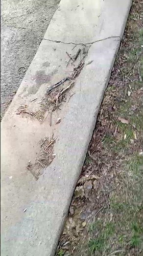 model 5 siren Ambience Park Hills MO