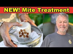 Beekeeping: A New Varroa Mite Treatment Called Norroa