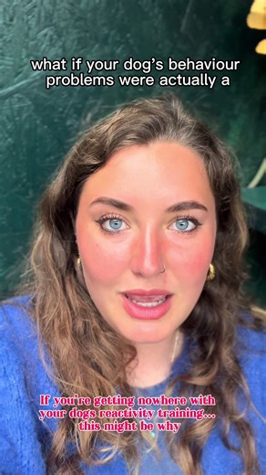 Understanding Chronic Pain's Impact on Dog Behavior