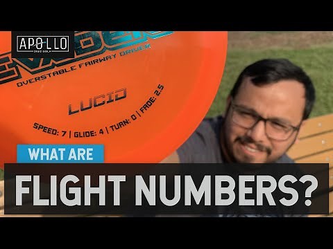 What Do Flight Numbers Mean? // Disc Golf Beginner’s Guide