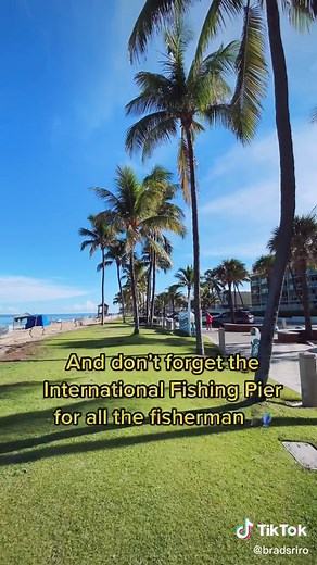 Discover the Best Things to Do in Deerfield Beach, Florida