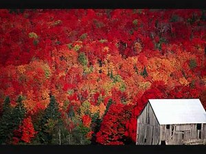 Carefree Highway - Gordon Lightfoot