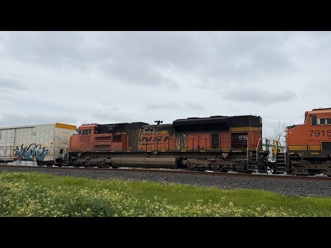 Chasing BNSF 6021 Local Freight with BNSF 8503 SD70ACE Galt Ca. 1/25/26