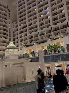 Andy Kehoe Art on Reels