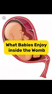 What Babies enjoy inside the Womb | Davey & Danny