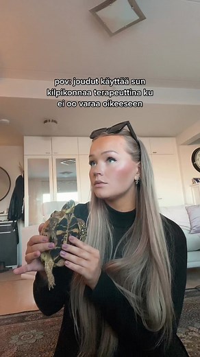 Tortoise Care Tips You Need to Know