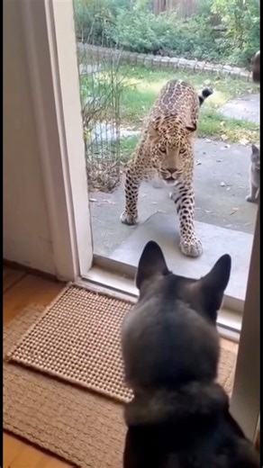 6.5M views · 74K reactions | Sharon Zee on Reels | Facebook