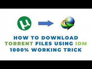 How to download torrent files using IDM
