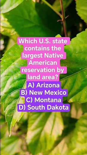 Which U.S. state contains the largest Native American reservation by land area?
