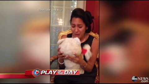 Man Surprises Fiancee With Childhood Teddy Bear