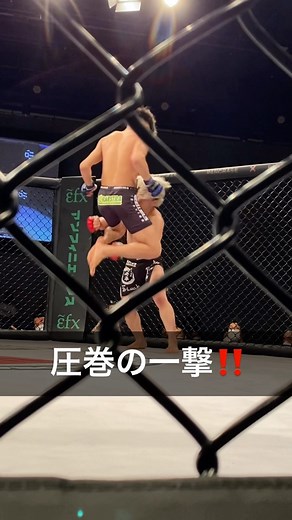 ［ #PANCRASE332 ］Highlight Video 💥@ryo_iam ■第8試合 メインイベント ∟フェザー級 5分3ラウンド 遠藤 来生 🆚 高木 凌 2R 4:29、KO / スタンドのパンチ #PANCRASE #パンクラス #MMA #Martialarts #格闘技 #総合格闘技 #秒殺 | パンクラス | PANCRASE