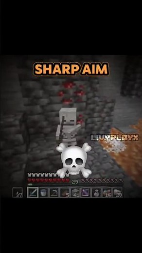 Java skeleton's vs bedrock skeleton's ☠️🥶