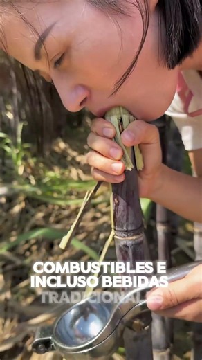 Benefits of sugarcane