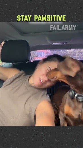 Pets can fail just like us 😭 #fail #funny #petadvice #puppyfail #comedy #viralfail | FailArmy