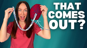 48K views · 898 reactions |  What to Expect After Having Your Baby...