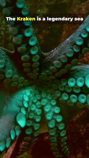 The Kraken! #legend #folklore #pirates #ocean #monster #history #facts #historyfacts #creature #sea