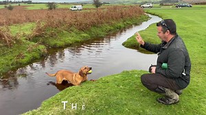 94 reactions · 8 comments | What’s the best way to deal with your...