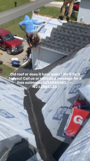 1.8K views | Old roof or does it have leaks? We'll fix it for you! Call us or send us a message for a free estimate! 4234680463. —- 4238884582 | Lopez Monkeys | Facebook